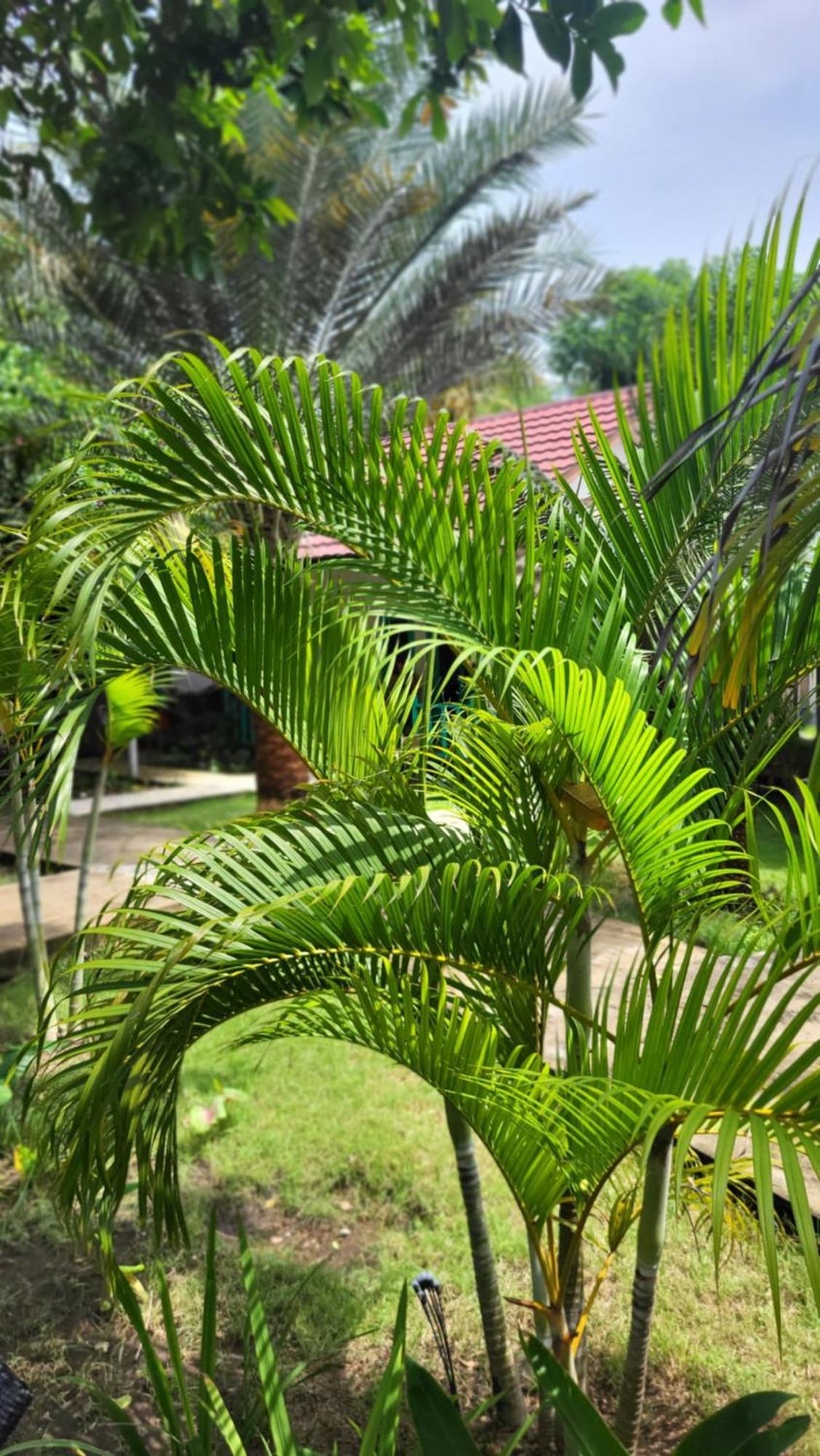 The Barefoot Blondie Village